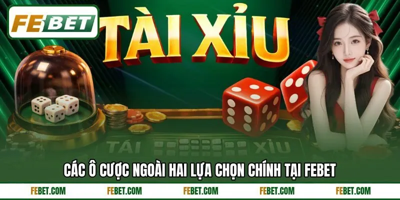 Các ô cược ngoài hai lựa chọn chính tại FEBET