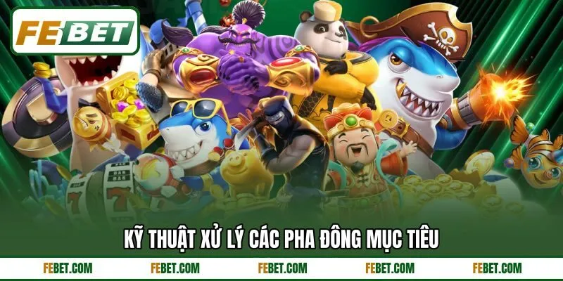 Kỹ thuật xử lý các pha đông mục tiêu