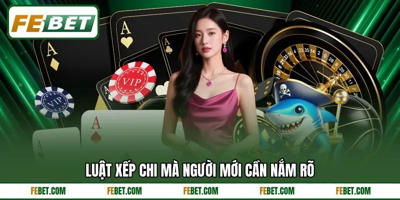 Luật xếp chi mà người mới cần nắm rõ