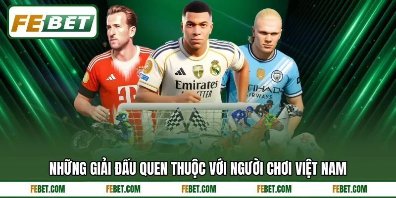 Những giải đấu quen thuộc với người chơi Việt Nam